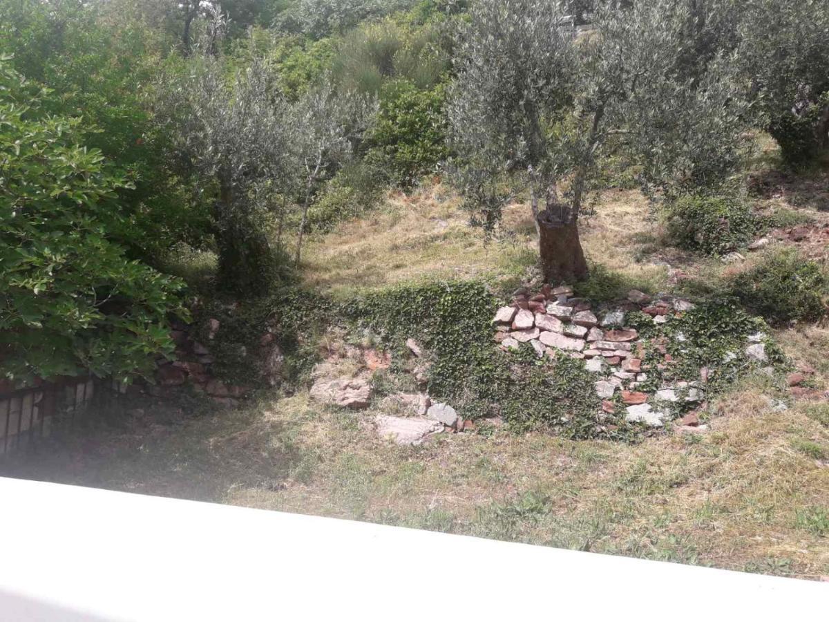 Vila Horizont Sveti Stefan Zewnętrze zdjęcie